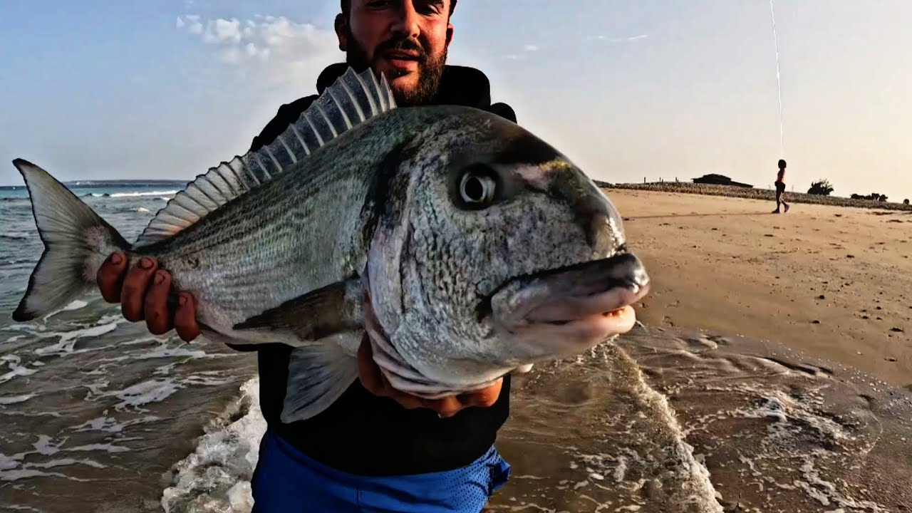 // DORADA GIGANTE // * EN EL ESTRECHO * SURF CASTING # PELEA EPICA CON HILOS EXTREMADAMENTE FINOS 