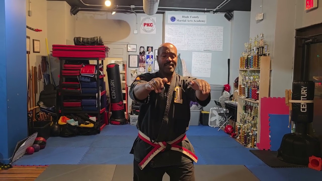 Pattern 4 of 8 Circle system Shorei Goju Ryu 