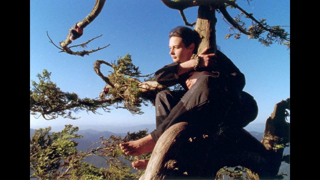 Interview with Julia Butterfly Hill