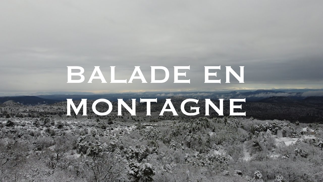 Balade en montagne - DJI Mini 2 Footage