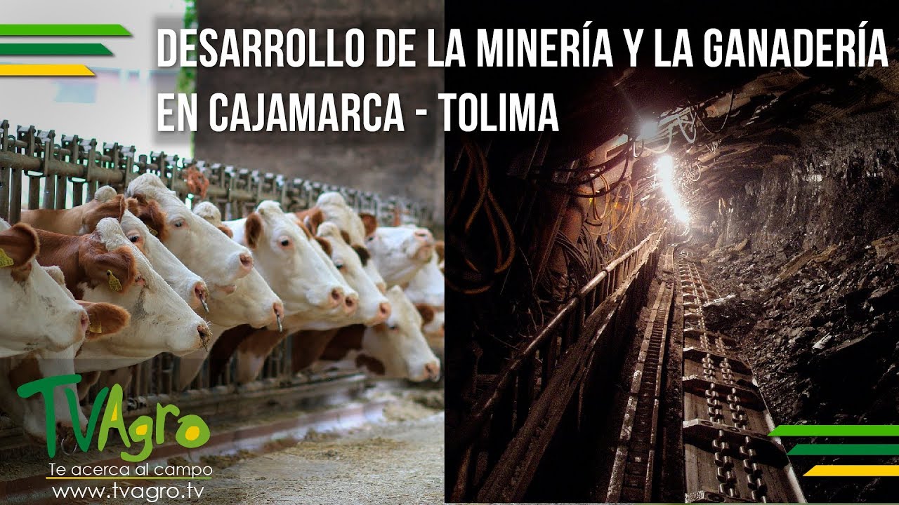 Desarrollo de la Minería y la Ganadería en Cajamarca - Tolima - TvAgro por Juan Gonzalo Angel
