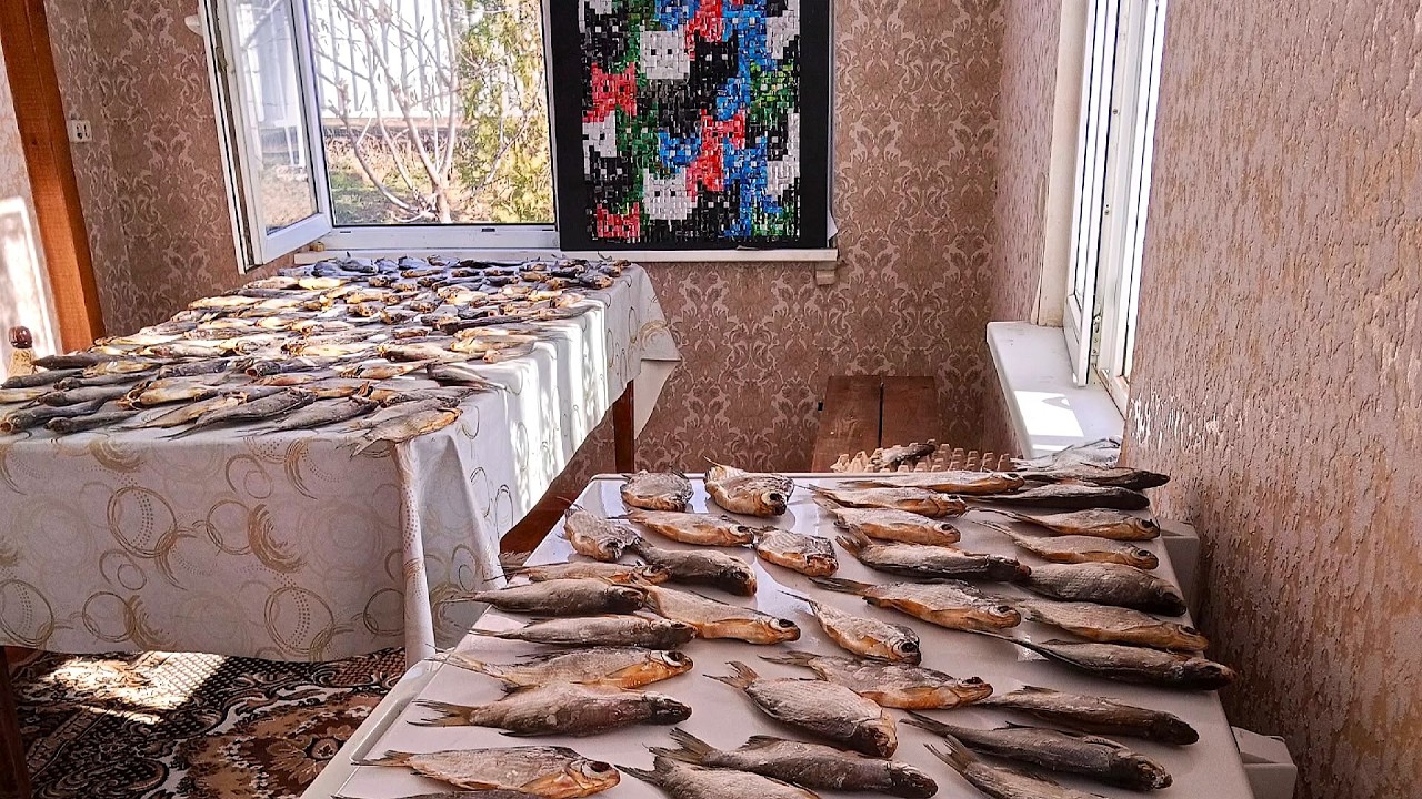Стрим с розыгрышем 20 кг Астраханской рыбы. Снасть на сазана. Рыбалка в марте и апреле. Щука и икра
