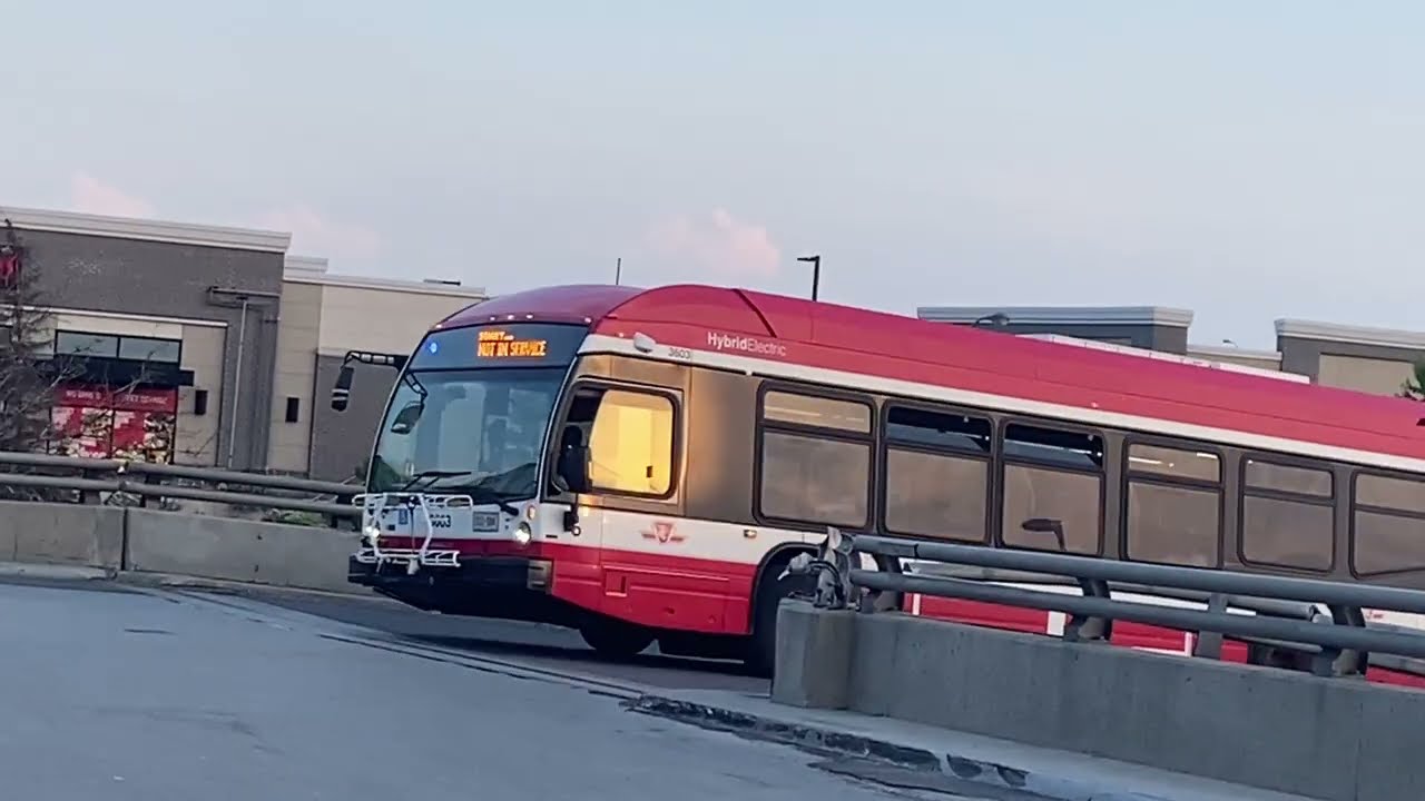 TTC Buses at Wilson Station Part 1