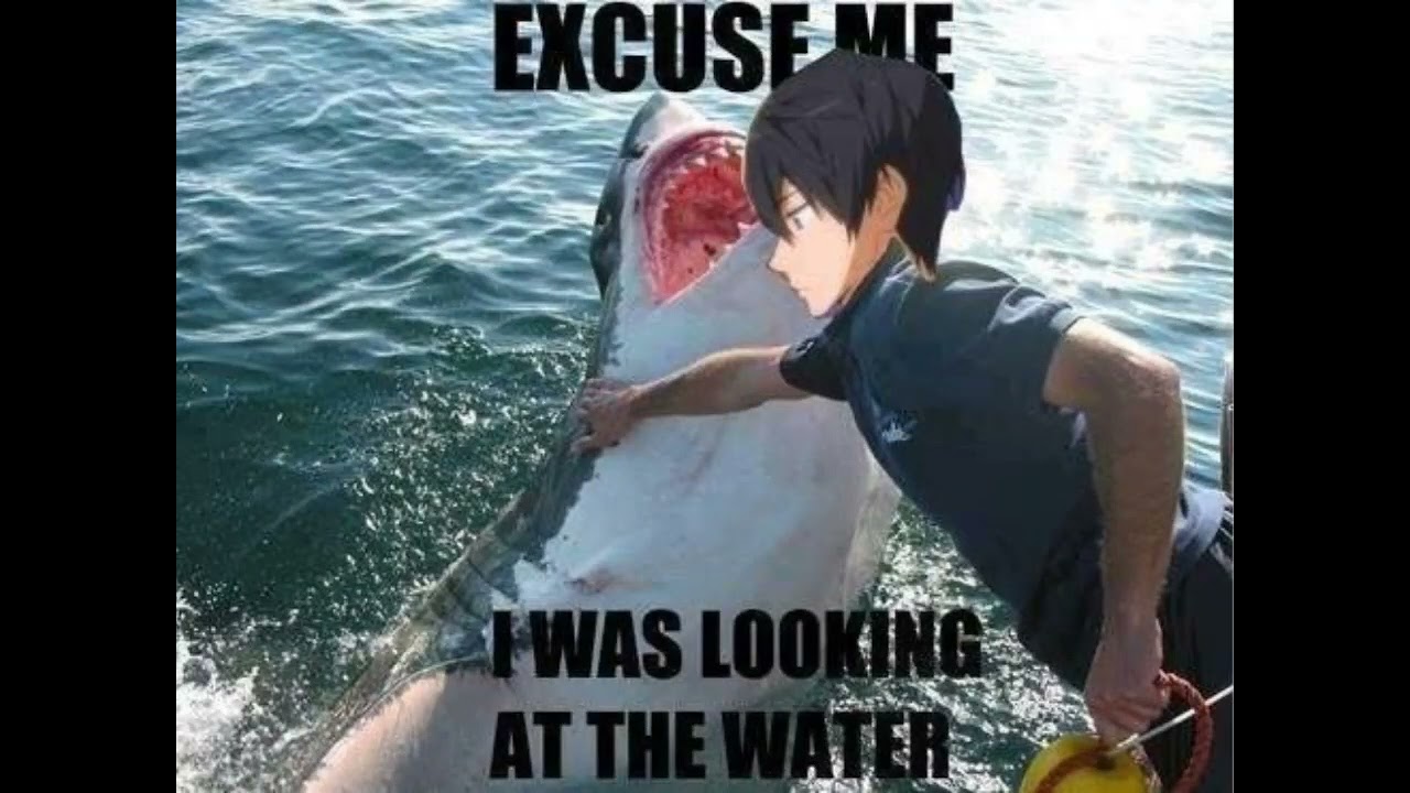 Relatable Anime memes #animememes
