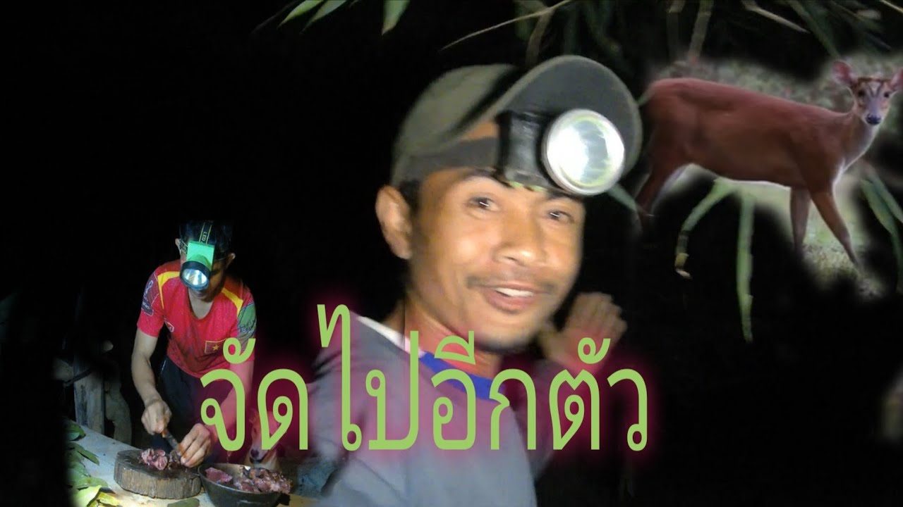 พาน้องหมาออกไต้ตาจัดอี่แดง//ພານ້ອງໝາອອກໄຕ້ຕາຈັດອີ່ແດງ//พราน ทองแท้//4.ม.ค.2026