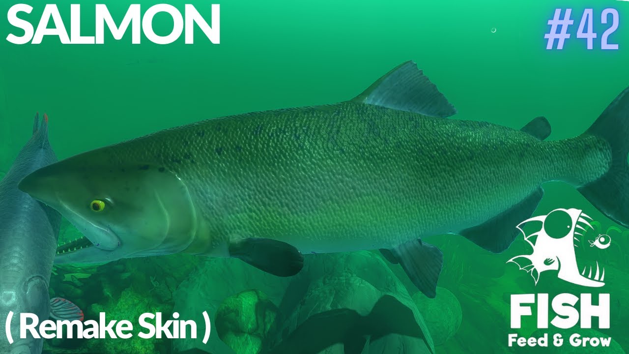 Feed And Grow Fish : Salmon (Remake Skin)