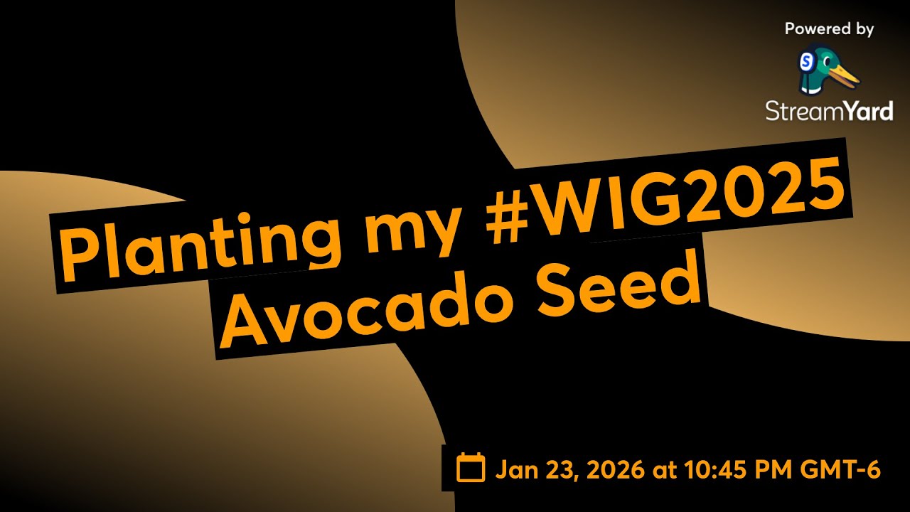 Planting my #WIG2025 Avocado Seed