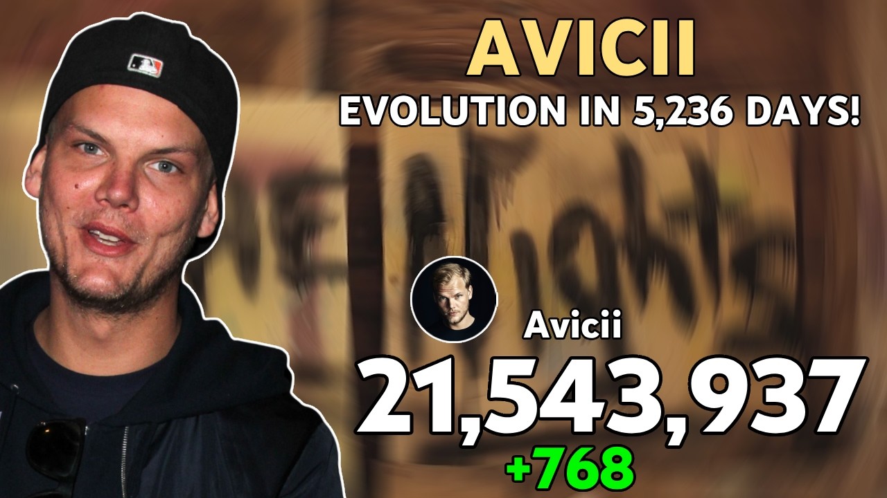The Rise and Fall of Avicii: Every Day