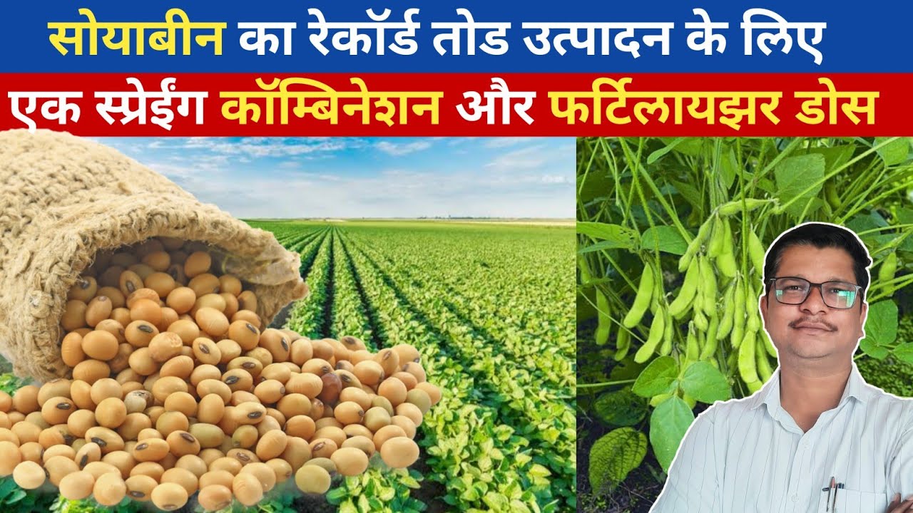 सोयाबीन के रेकॅार्डतोड उत्पादन के लिए स्प्रेईंग कॅाम्बीनेशन और फर्टिलायझर डोस|fertilizer।combination