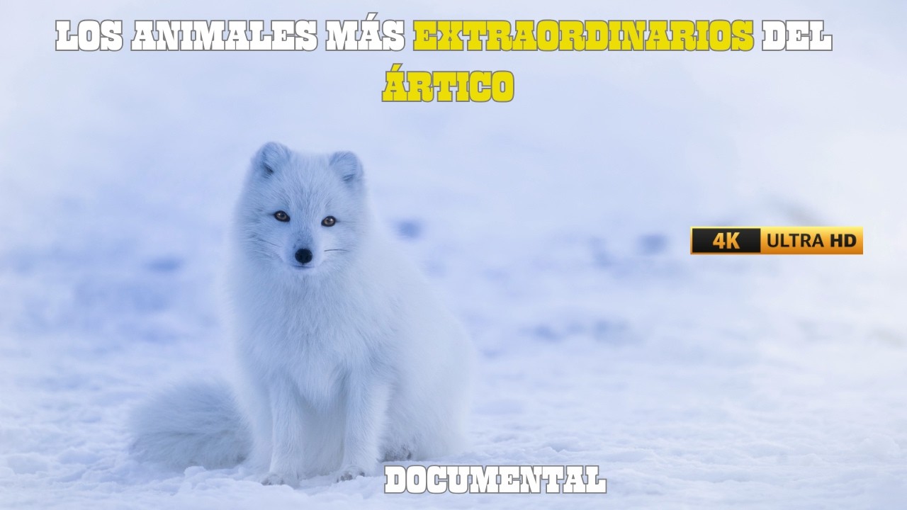 EL ÁRTICO: Paraíso de ANIMALES Exóticos y LEGENDARIOS | DOCUMENTAL COMPLETO