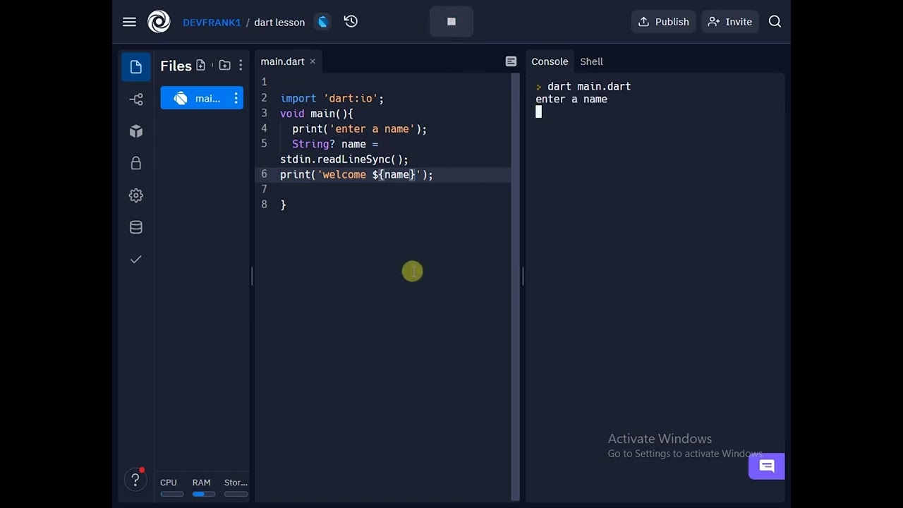 integer and double input type in dart programming