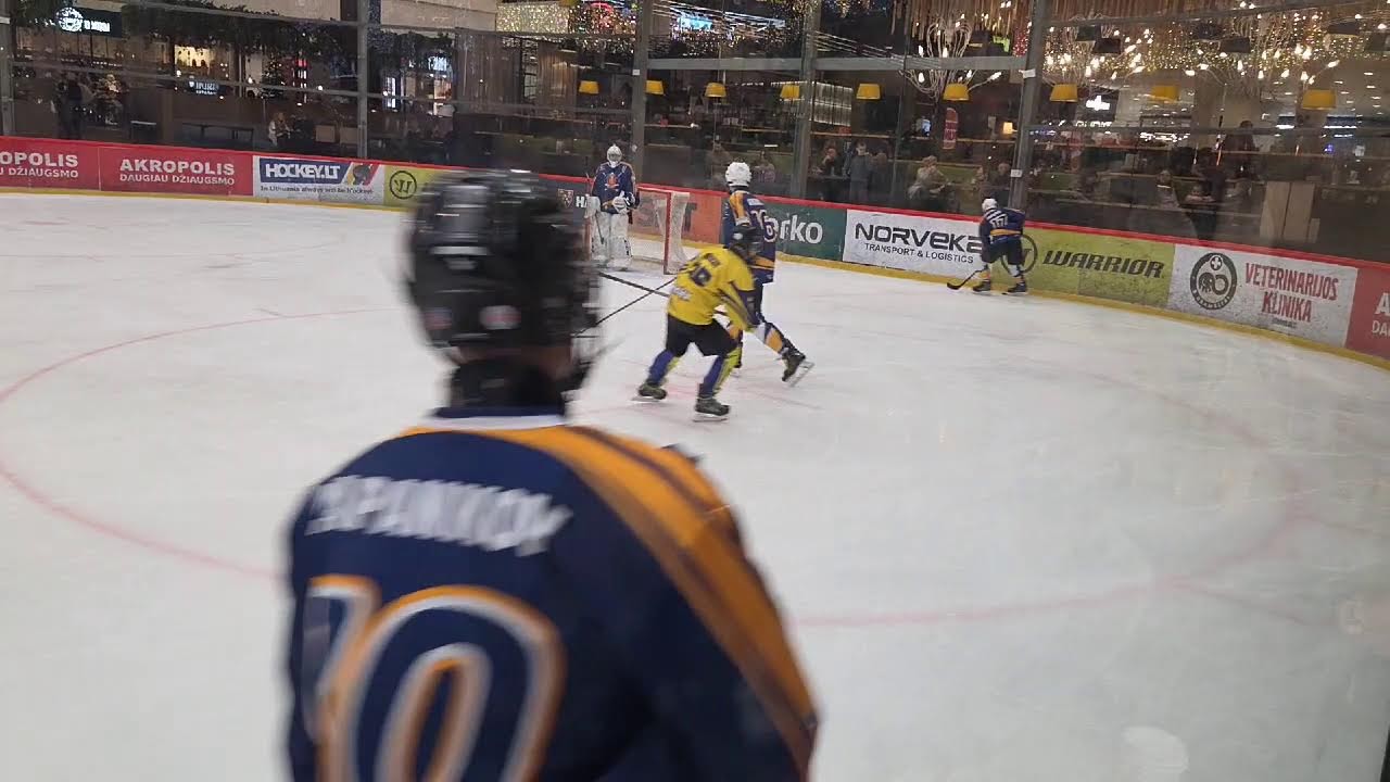 HC KLAIPEDA  ŠIAULIŲ  ŠAULYS