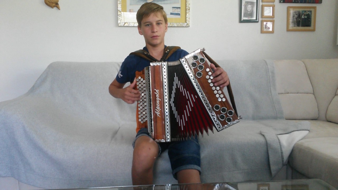 Timple Boarischer   Steir. Harmonika