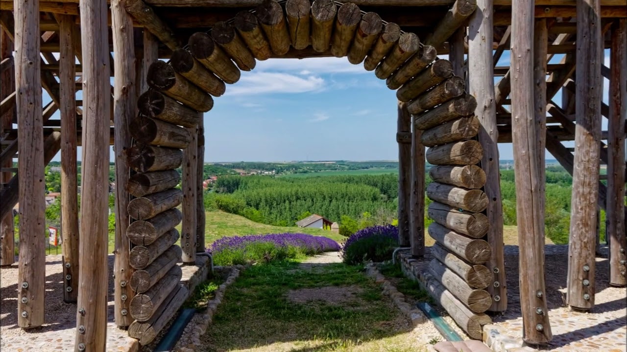 Római kori katonai tábor Lussonium