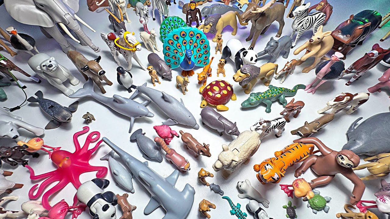 150 Playmobil Animals - Dolphin, elephant, shark, giraffe, octopus, lion, sea turtle, wolf