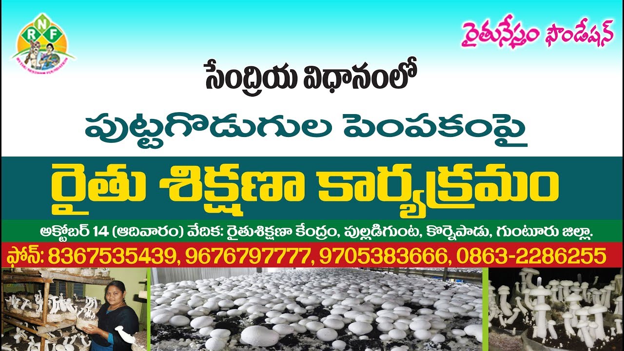 Training On Organic Mushroom Cultivation - సేంద్రియ పుట్టగొడుగుల తయారీపై శిక్షణ | Rythunestham