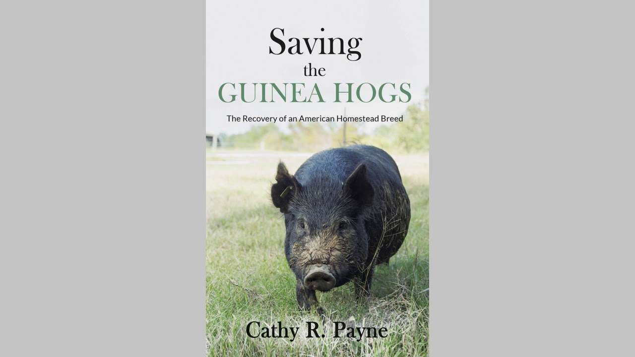 Trailer for Saving the Guinea Hogs by Cathy R. Payne