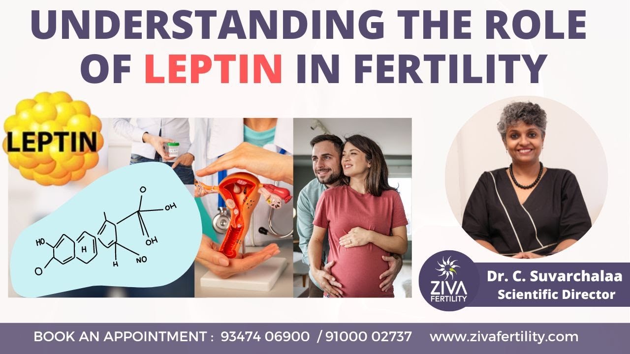 Role of Leptin in Fertility | Trying To Conceive | Dr C Suvarchala | ZIVA Fertilityy