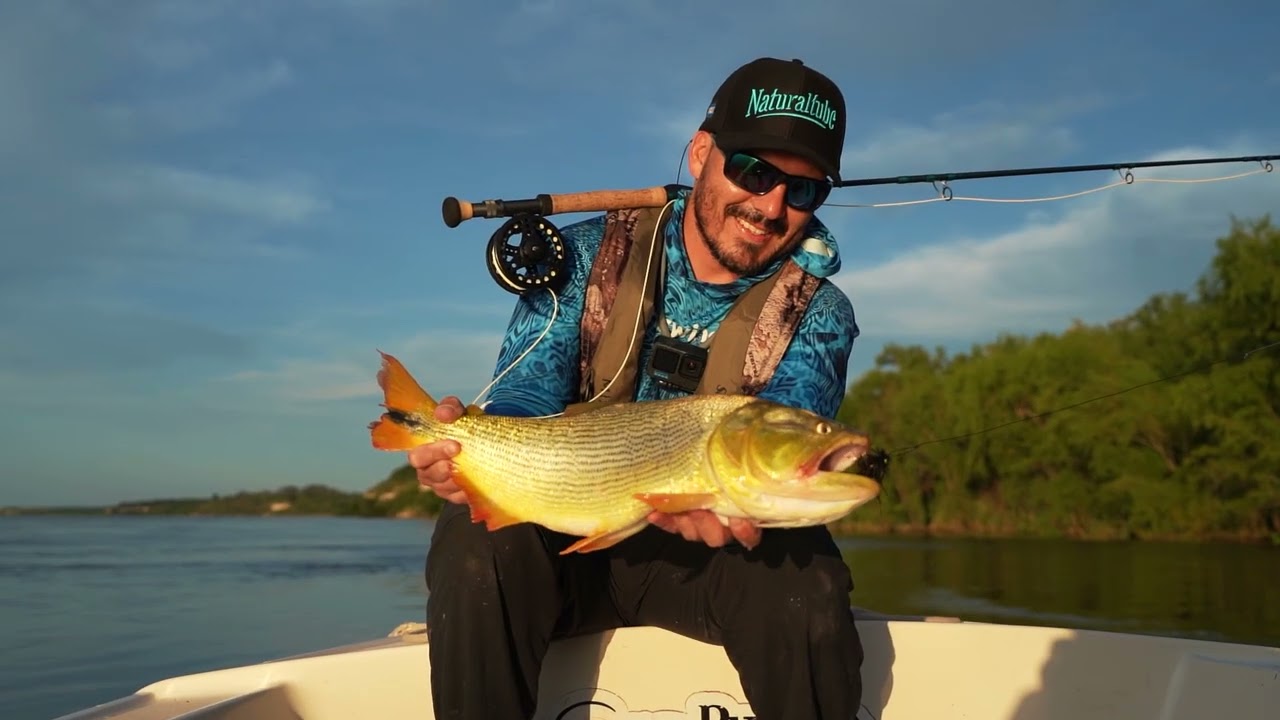 Golden Dorado fishing on the Paraná River with Riverland Outfitters