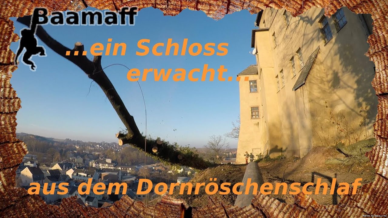 Baumfällung am Schloß Lichtenstein #1 - große Bäume und wenig Platz | Baamaff