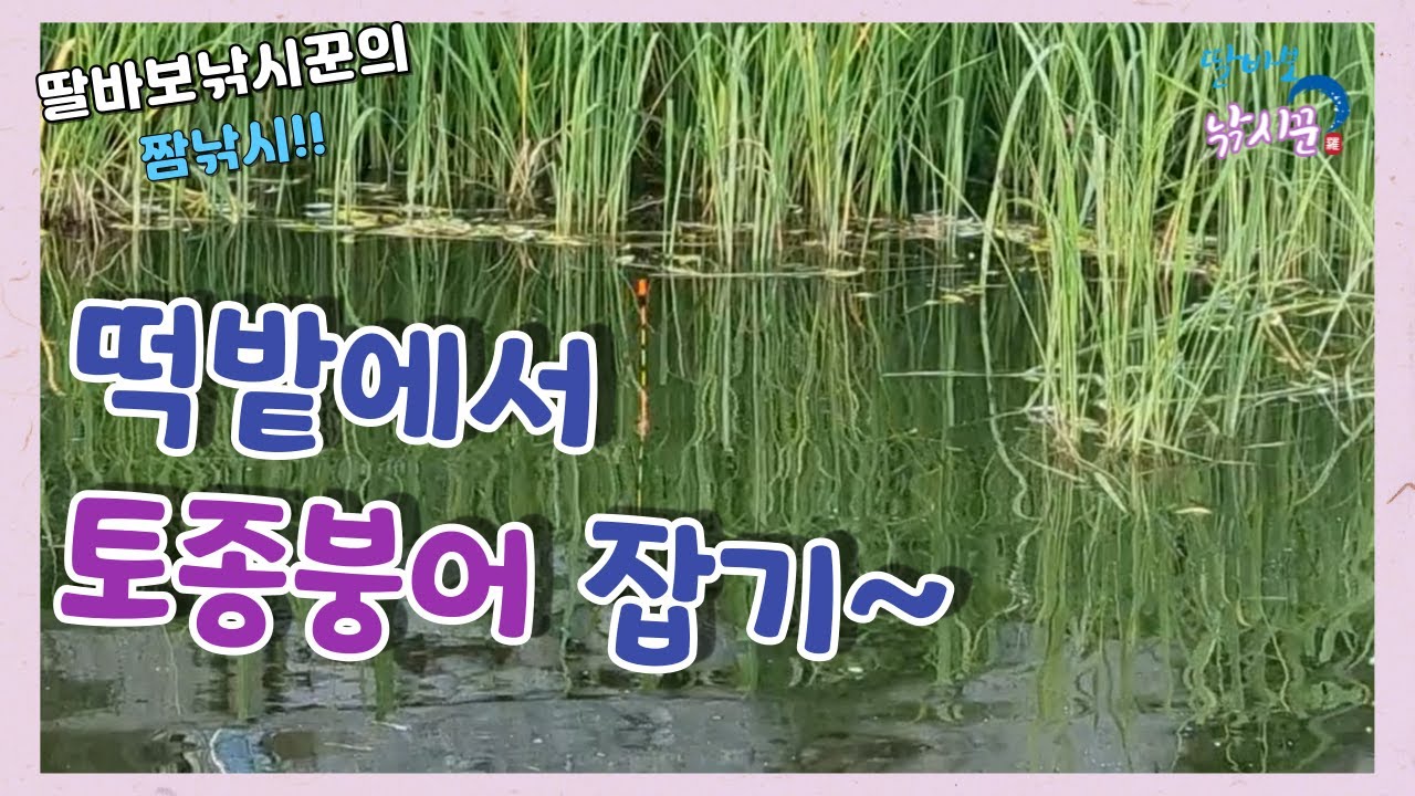 떡밭에서 토종붕어 잡기~ #죽산낚시터 #얼레채비