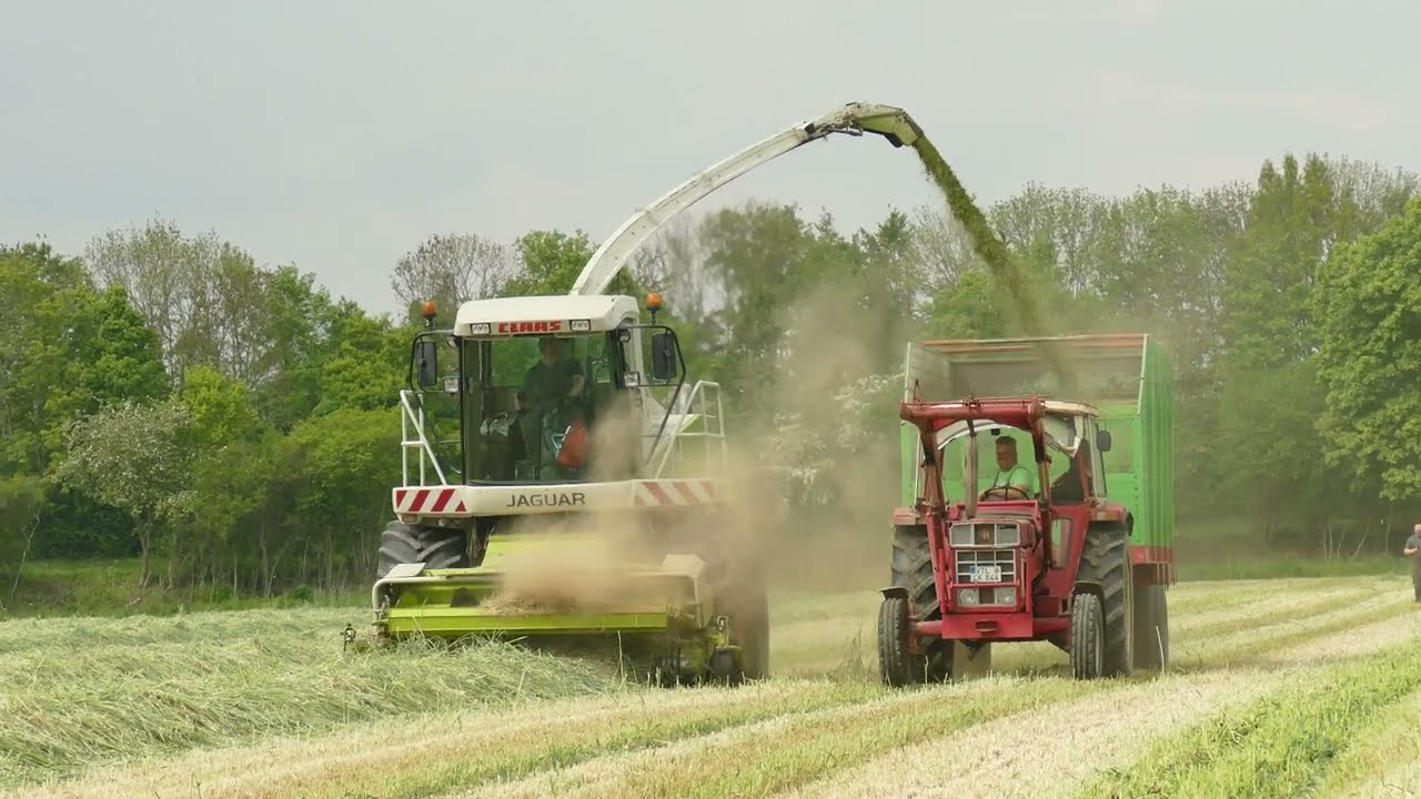 #claas Jagura 850 / Gr&uuml;nroggen #H&auml;ckseln 2022 ( Reckeweg GbR  ) Sound Best of #GoPro ( 4K )