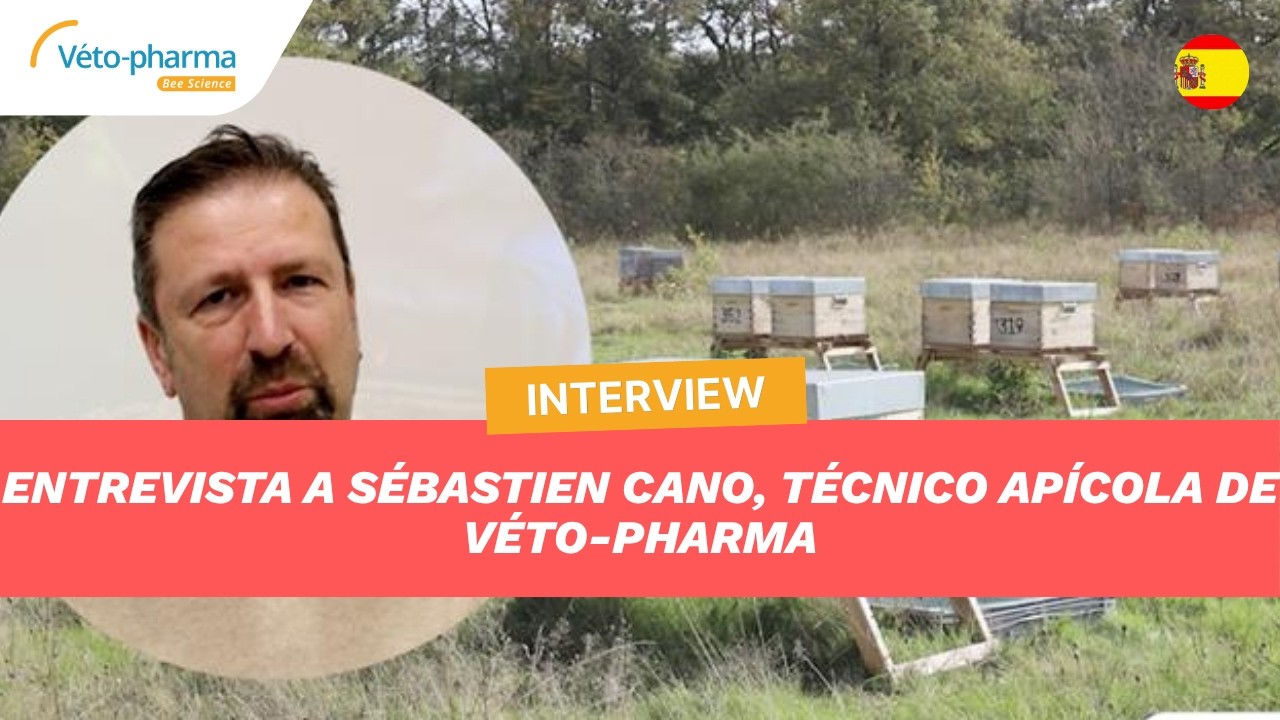 Entrevista a Sébastien Cano, Técnico apícola de Véto-pharma