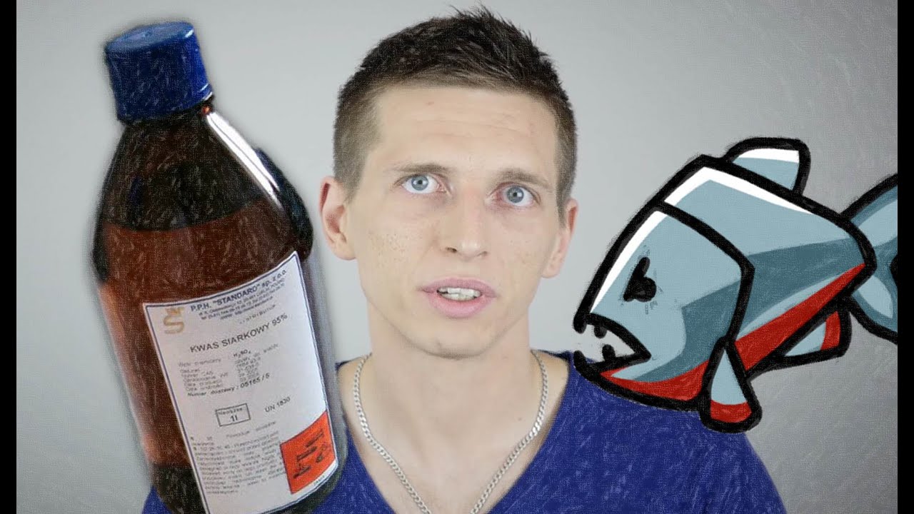 Kwas siarkowy kontra pirania | Eksperyment Naukowego Bełkotu #02