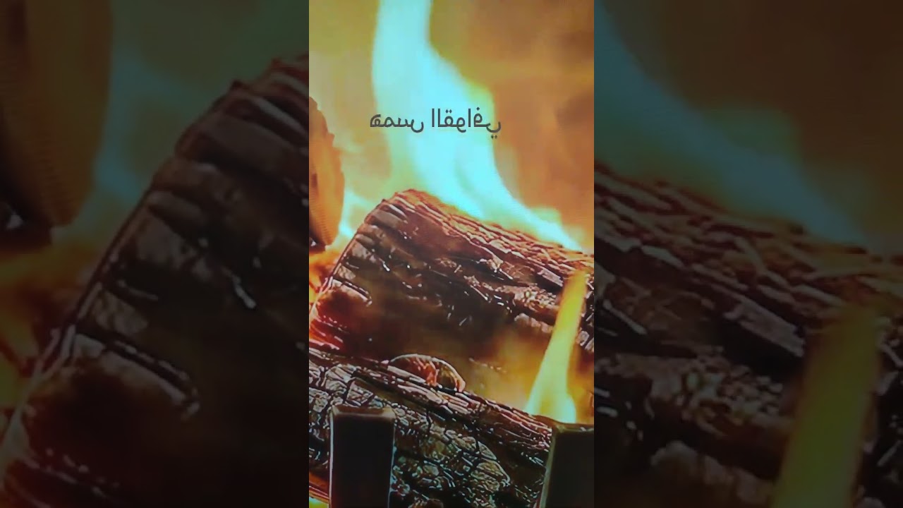 ١٢ شباط، ٢٠٢٦