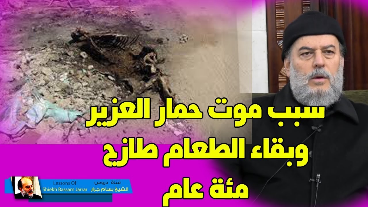 الشيخ بسام جرار | لماذا امات الله حمار #العزير وترك طعامه طازجا لم يتغير