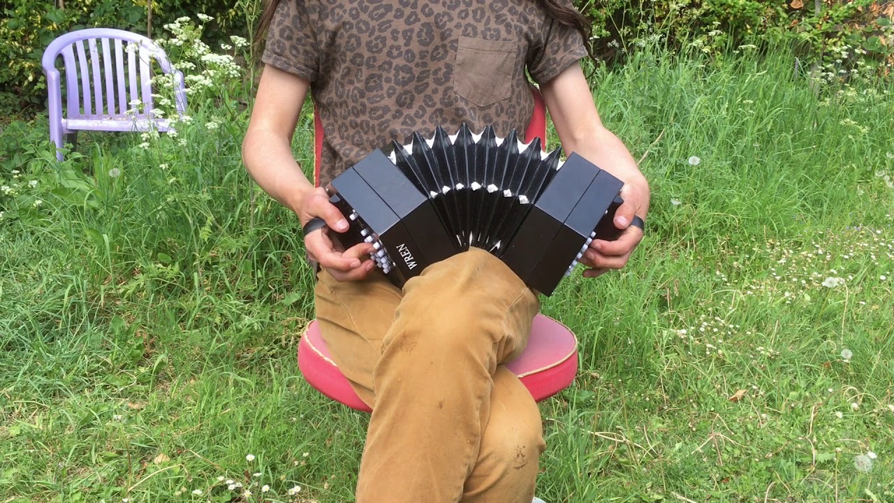 Oh! Susanna (Stephen Foster) - McNeela Wren 2 Anglo Concertina Cover