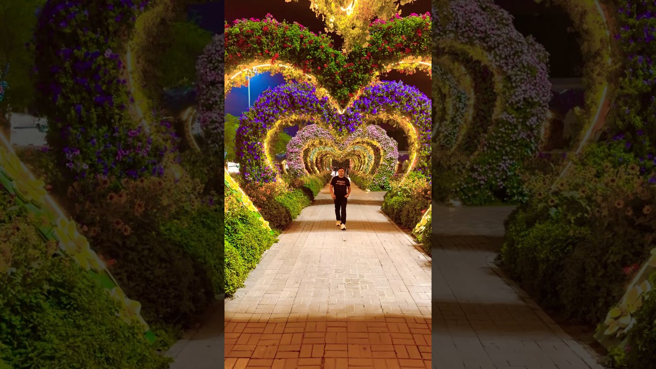Night view of miracel garden ❤️ #love #garden #trending #flowers #miraclegarden #happygarden