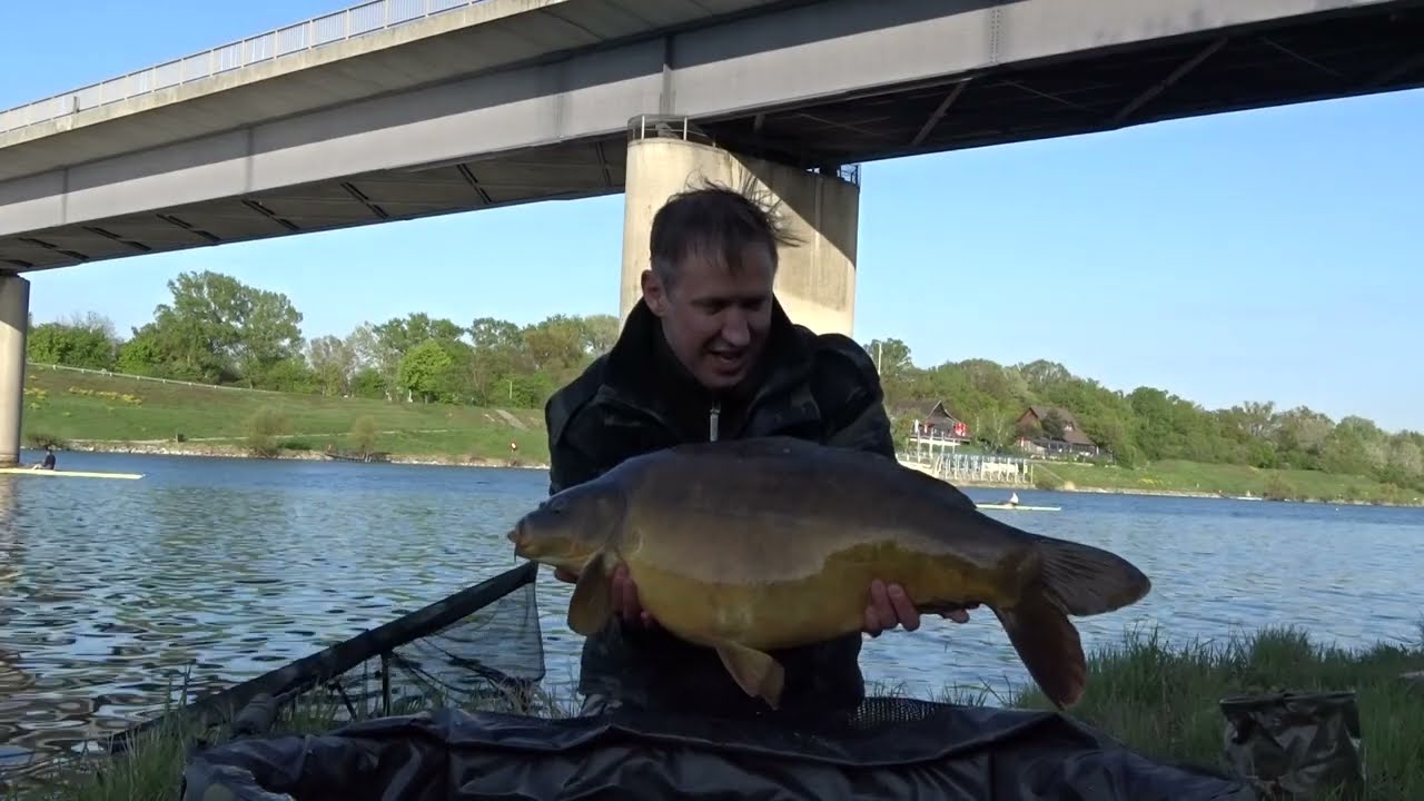 Neue Donau
