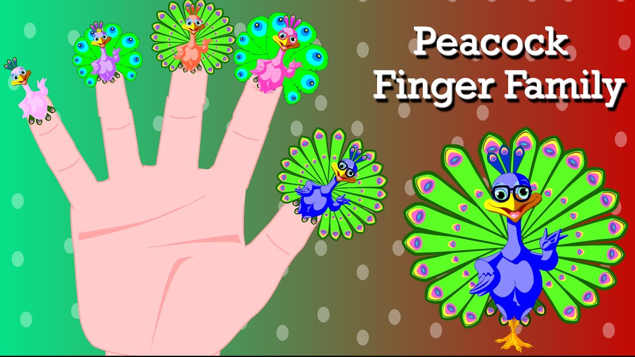 Peacock Finger Family |Animal Finger Family Nursery Rhymes for Kids