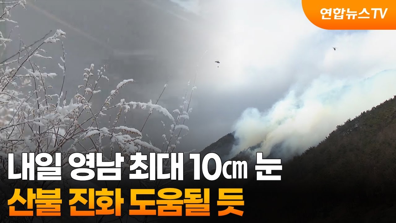 내일 영남 최대 10㎝ 눈…산불 진화 도움될 듯 / 연합뉴스TV (YonhapnewsTV)