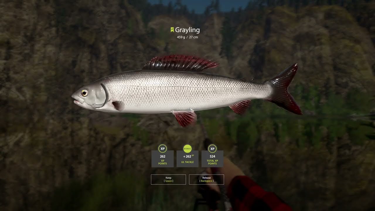RF4 - [Belaya River] Active Spot + DOUBLE TROPHY Grayling Spot