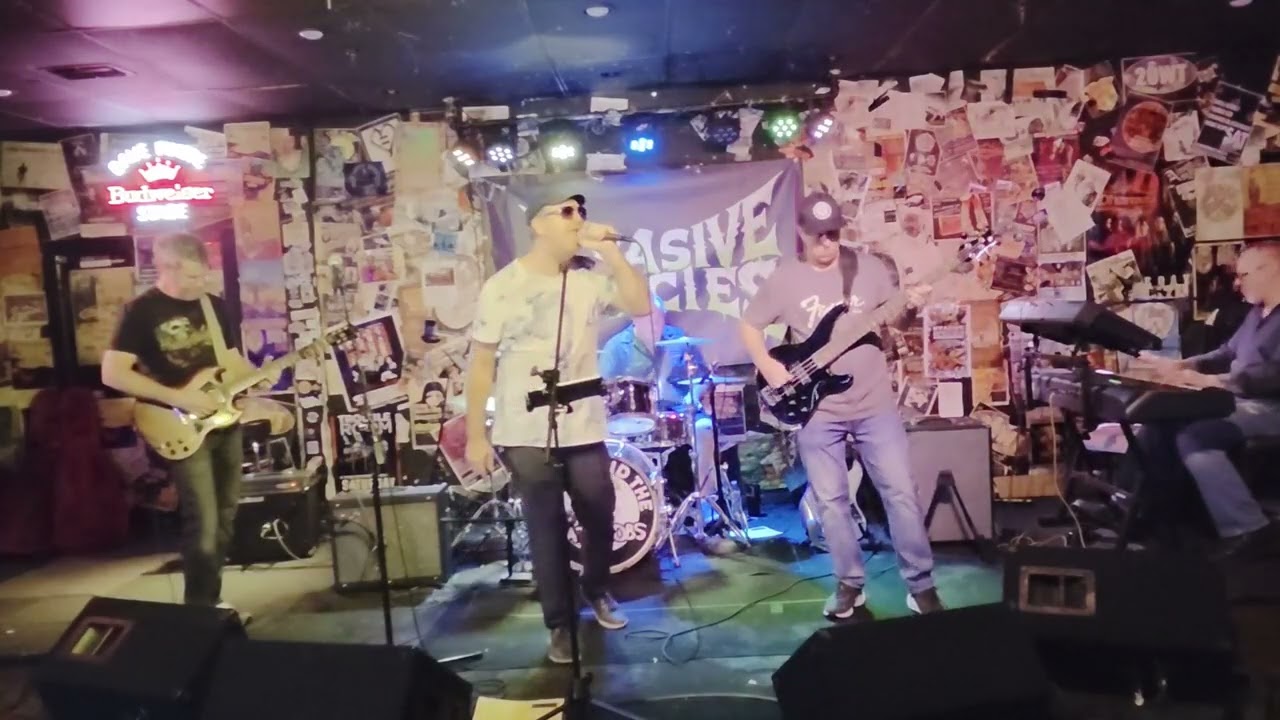 She Sells Sanctuary (cover) - NVasive Species