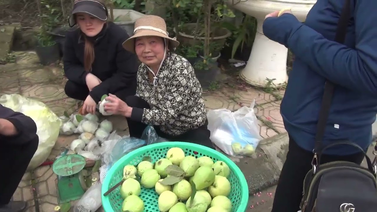 Chợ hoa tích giang chiều 26 tết  hàng quất rất phong phú đa dạng