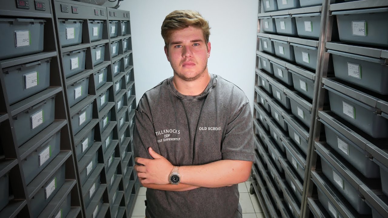 2024 Is End Of Ball Pythons Or The Begining?