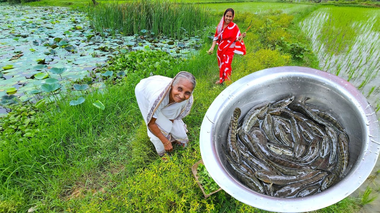 থানকুনি পাতা দিয়ে বর্ষার জ্যান্ত ল্যাঠা মাছের ঝোল রান্না | Village style cooking healthy fish curry