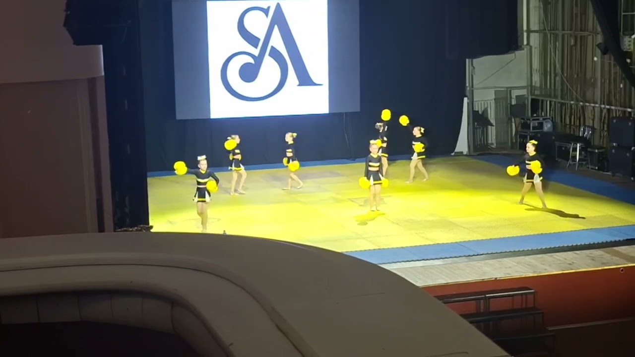 Відкритий чемпіонат Хмельницької області з чирлідингу.Minnis🫰