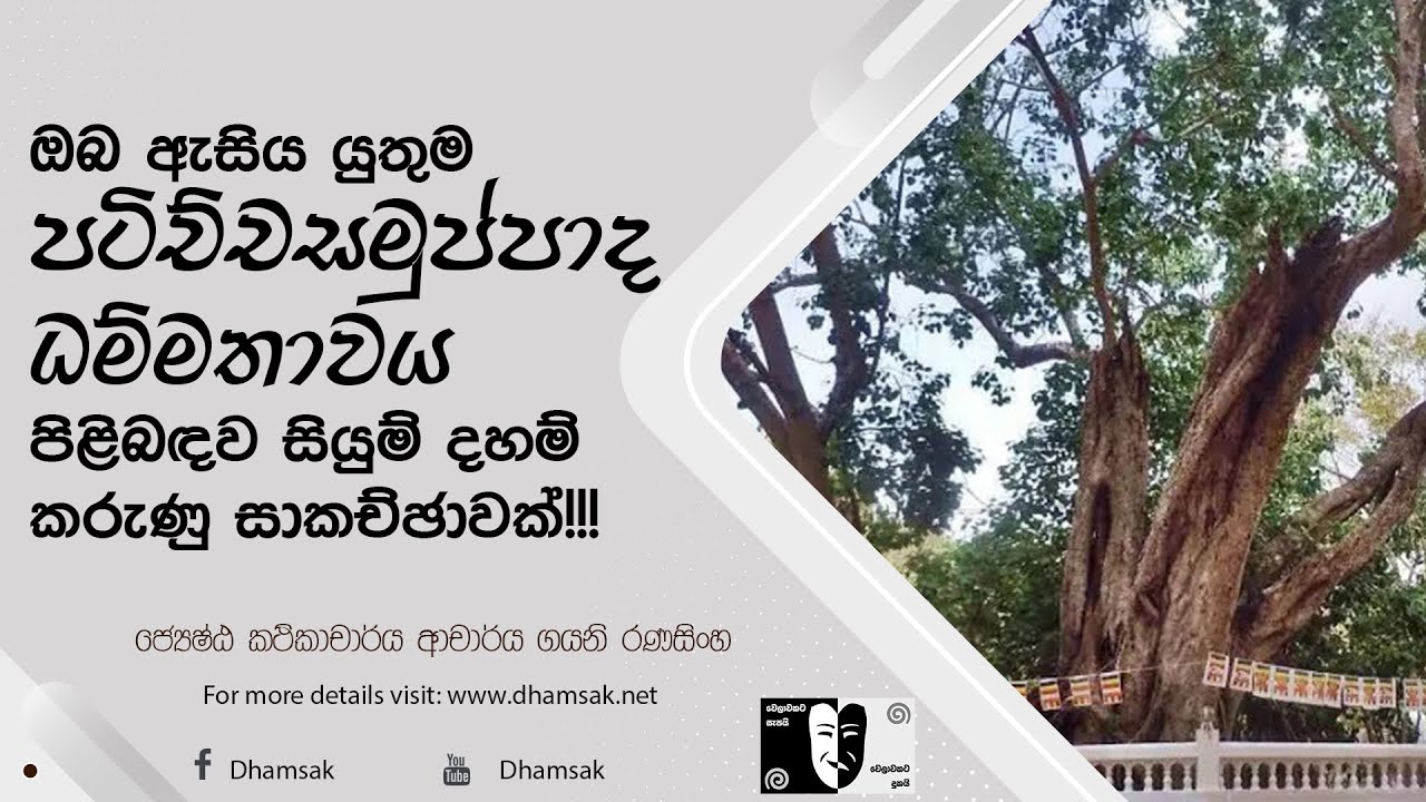 ඔබ ඇසිය යුතුම පටිච්චසමුප්පාද ධම්මතාවය පිළිබඳව සියුම් දහම් කරුණු සාකච්ඡාවක්!!!| Dr. Gayani Ranasinghe