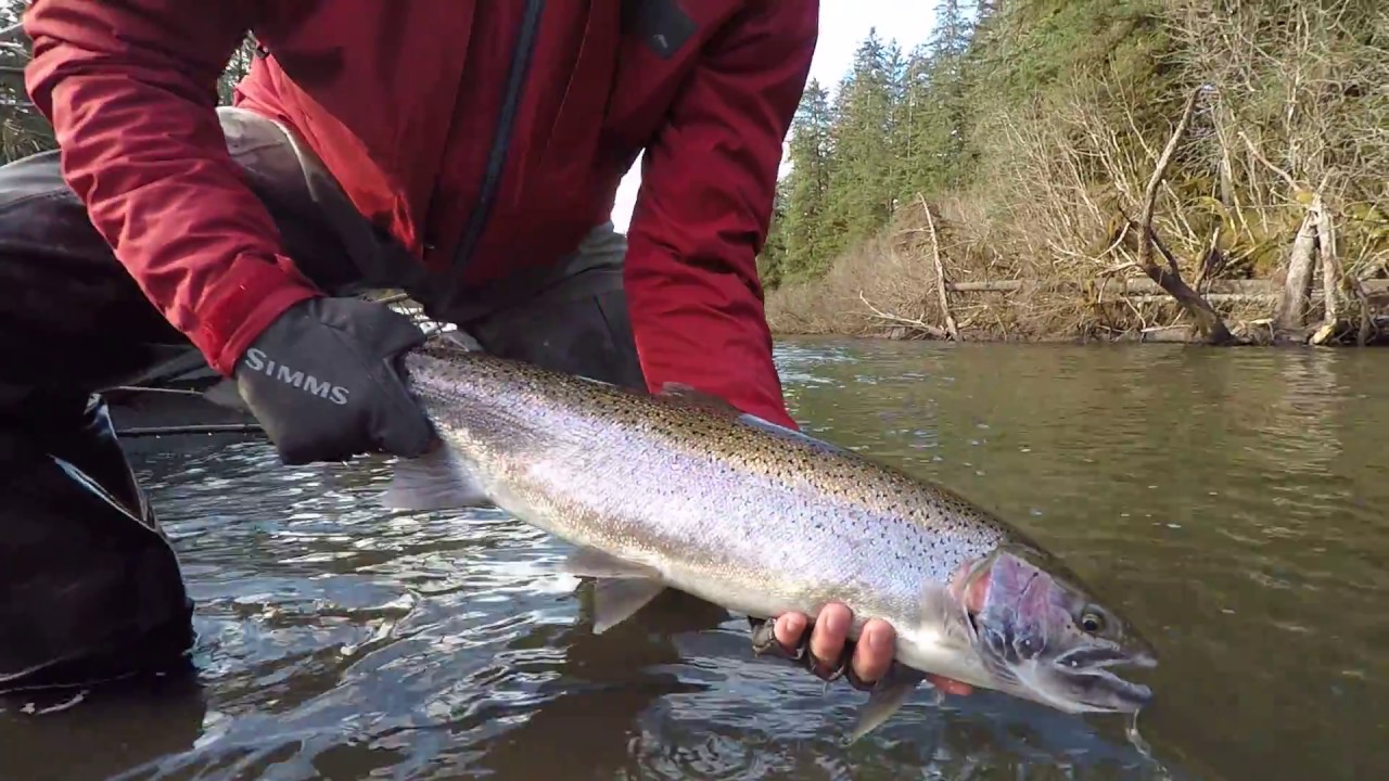 Situk River Spring Steelhead Fishing