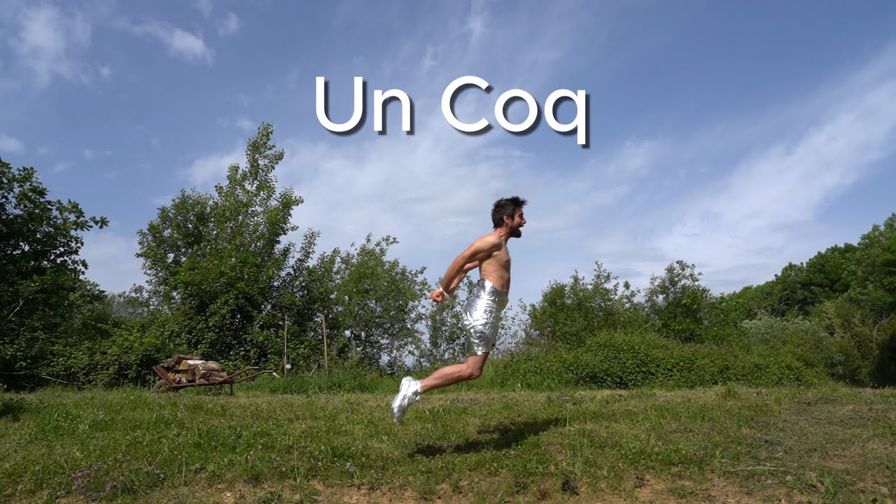 Un Coq