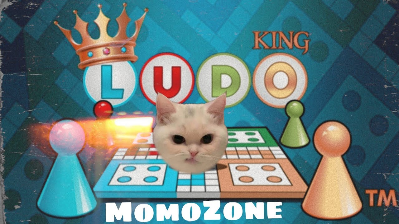 MomoZone is live! Ludoking