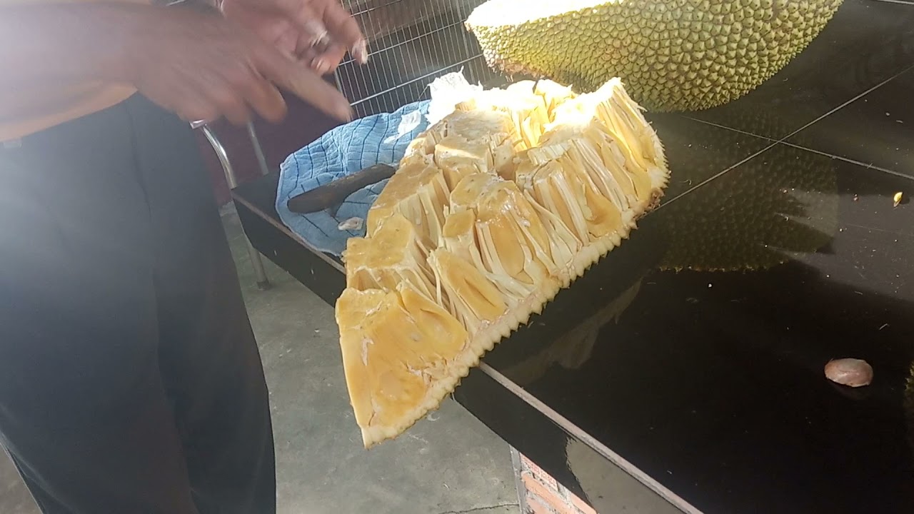 Najwiekszy owoc Swiata: Chlebowiec - Jackfruit, wietnam, Mekong!