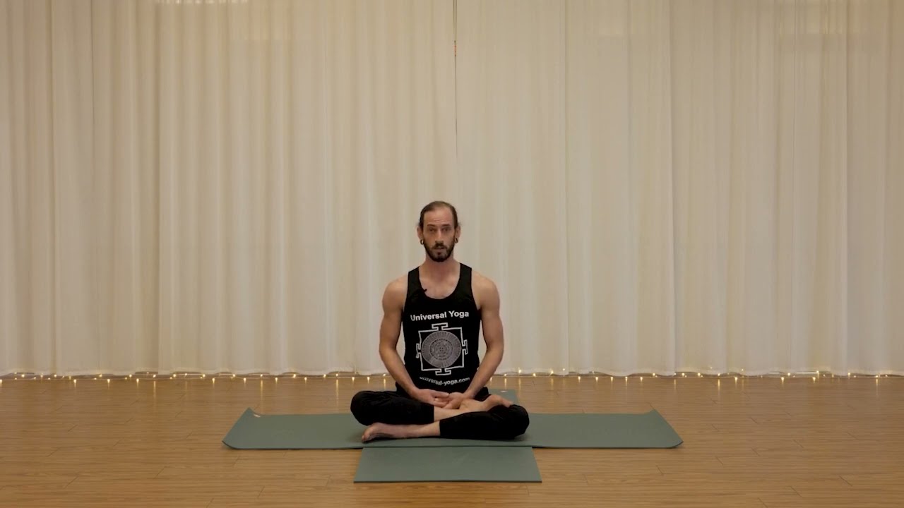 Universal Yoga Level 1 Training with Andrey Lappa | February 8-19, 2025