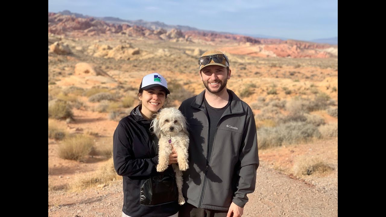 Hazel the Maltipoo, Interviews Cont'd, Christmas Tree Vlog