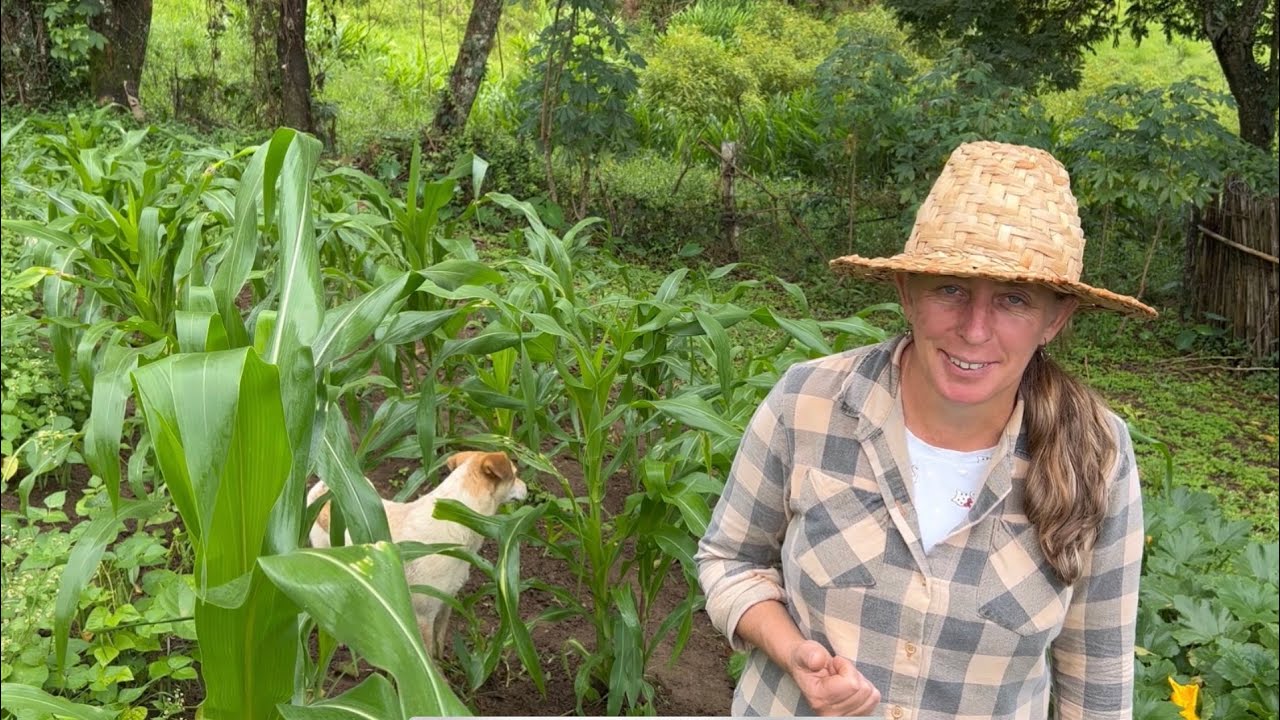 ABOBRINHA DIFERENCIADA - MILHO CRIOLO - SEU CAVALO É BOM LUCAS.
