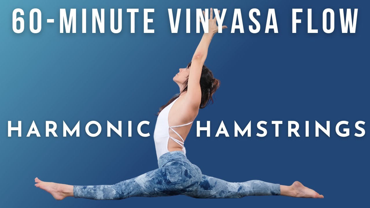 60-Min Vinyasa Flow: Harmonic Hamstrings | Meghan Currie Yoga 🌶🌶🌶